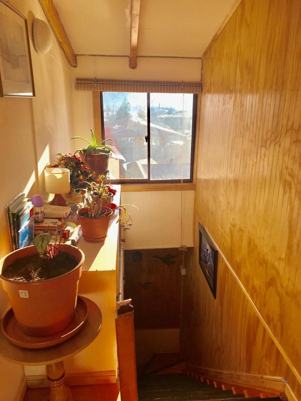 Hostal Patagonia Marmol Coyhaique Buitenkant foto